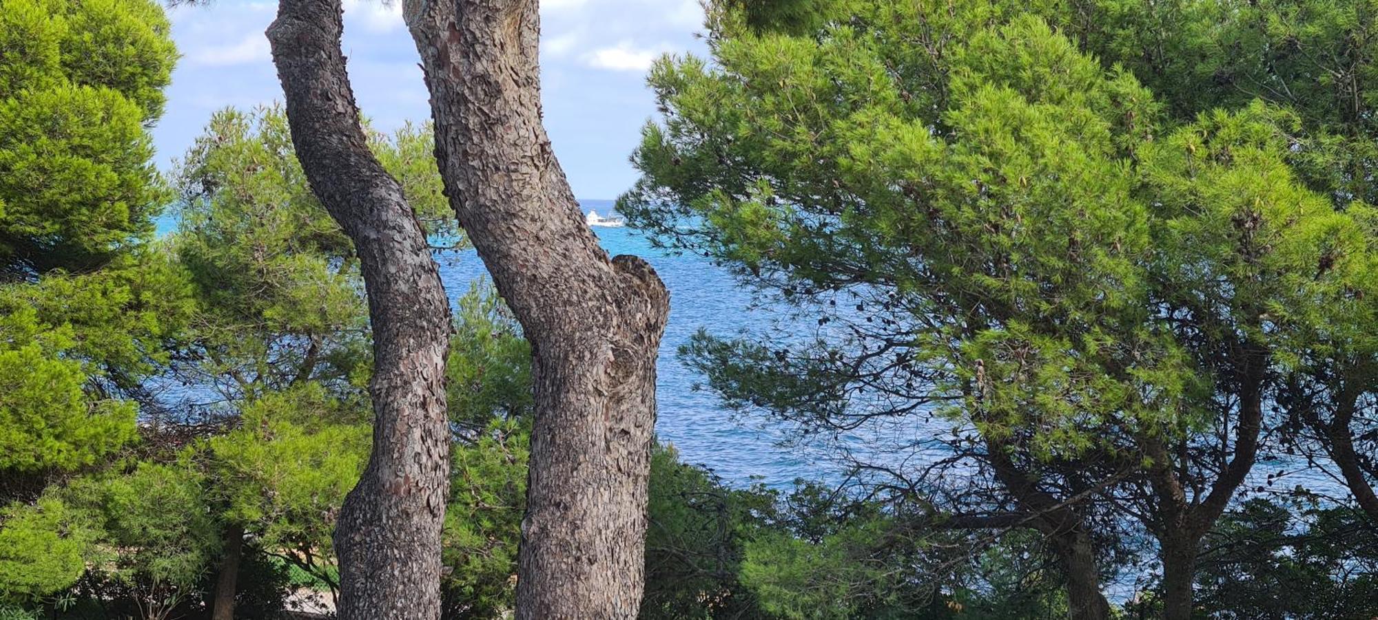 Puerto Azul 1 Daire Peñíscola Dış mekan fotoğraf